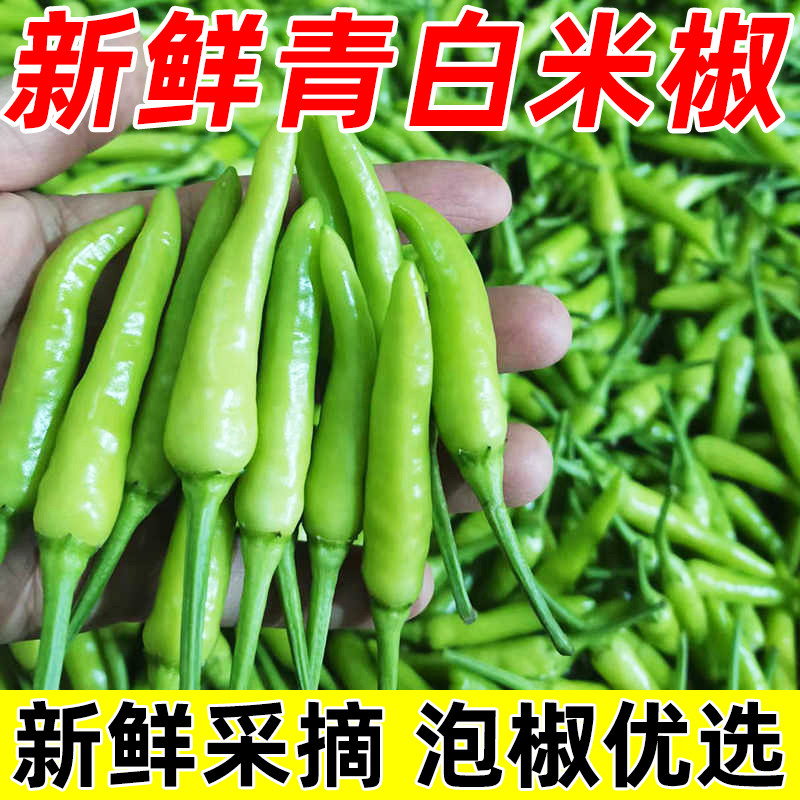 新鲜青白米椒现摘辣椒特辣朝天椒