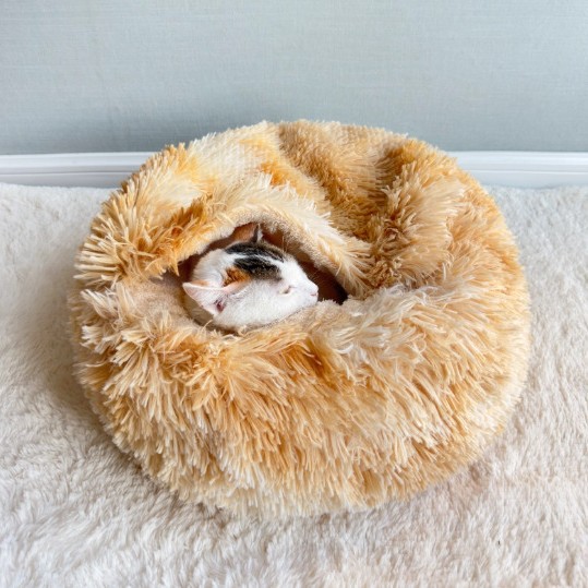 猫窝封闭式猫咪安全感窝冬天保暖猫别墅躲避屋毛绒贝壳窝冬季猫窝