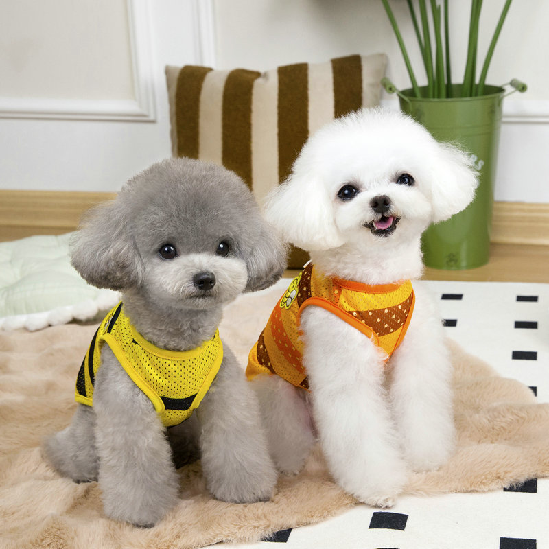 宠物衣服猫咪比熊法斗博美小型犬新款背心吊带狗狗衣服25蜂蜂背心