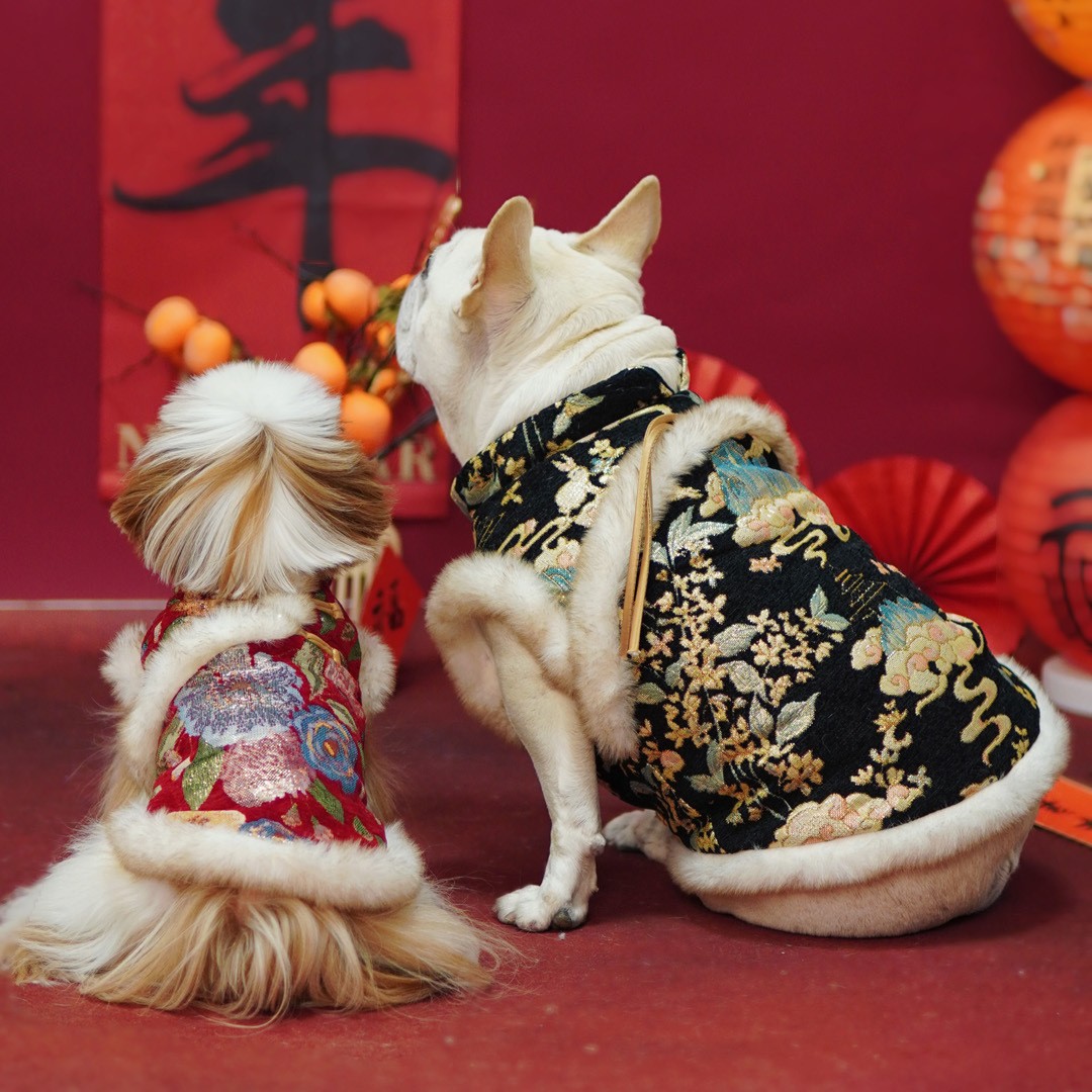 DDPET狗狗衣服宠物秋冬法斗雪纳瑞比熊西施小型犬拜年服唐装马甲