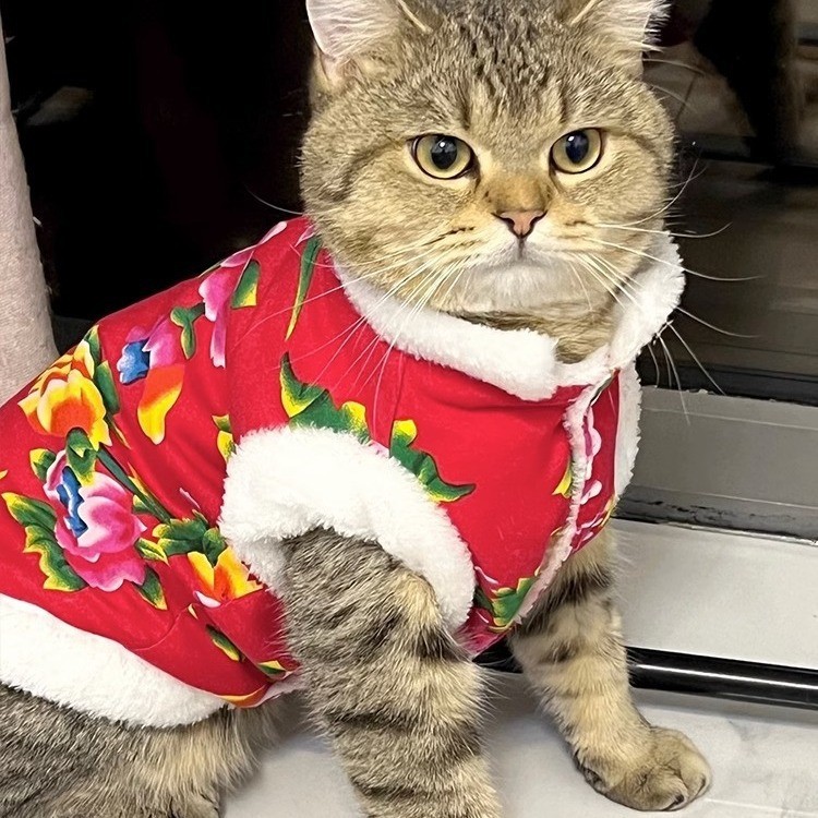 猫咪衣服加绒保暖东北大棉袄秋冬装布偶蓝猫幼猫宠物新年唐装