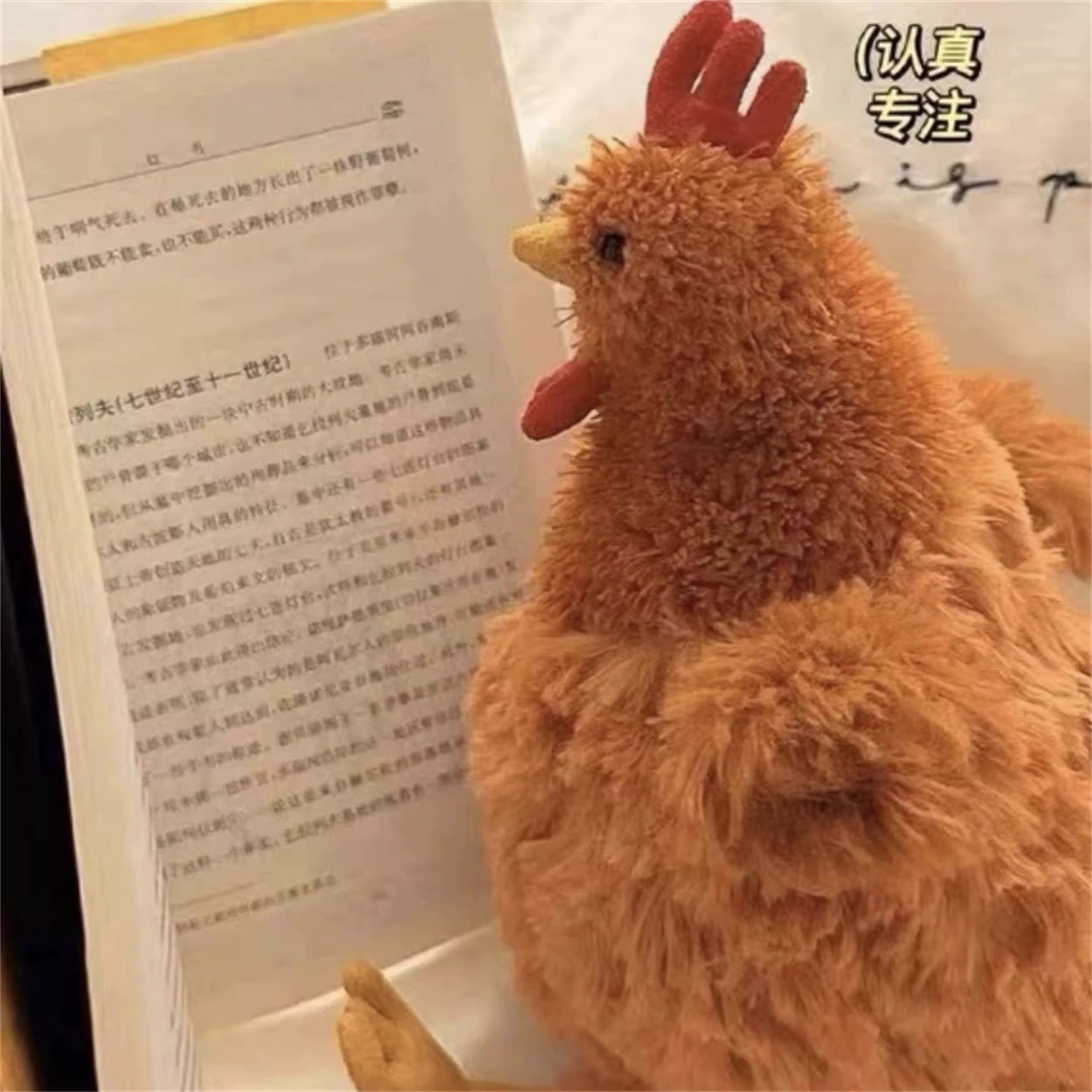 创意塞西尔小鸡毛绒玩具