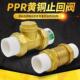 4分PPR水管管材配件 止回阀逆止阀单向阀20 PPR止回阀黄铜卧式 立式