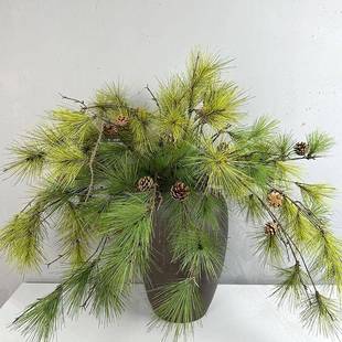 仿真松树枝带果假松枝景观松针假树枝松柏枝迎客松马尾松中式花材