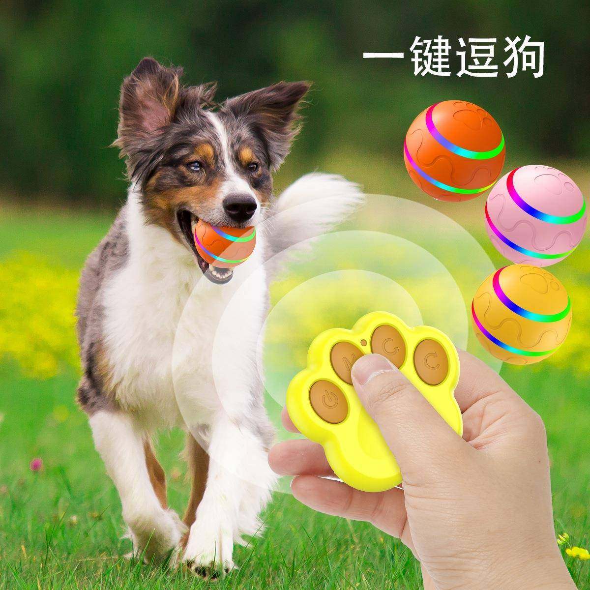 狗狗电动球充电式遥控自动滚动猫咪玩具逗猫自嗨解闷宠物用品,宠物/宠物食品及用品,宠物智能玩具,淘宝优惠券,粉丝福利购,淘宝优惠卷