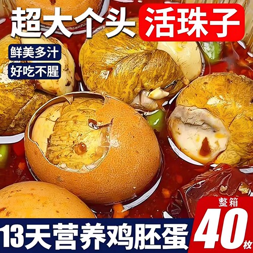 新鲜13天活珠子鸡胚胎毛鸡蛋即食