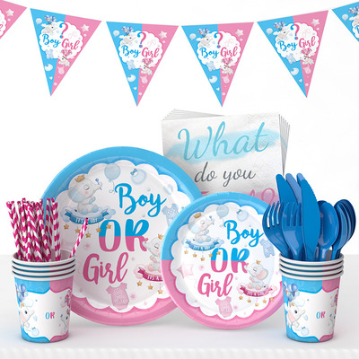 Unveiling Gender Education for Children, Boys and Girls, Theme Party Supplies, Baby Paper Plate and Tableware Set
