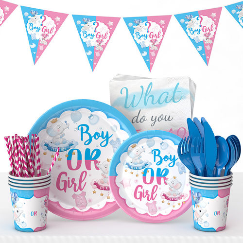 Unveiling Gender Education for Children, Boys and Girls, Theme Party Supplies, Baby Paper Plate and Tableware Set