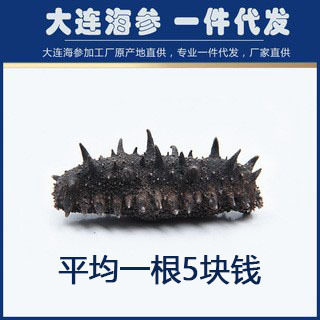 【海参工厂】淡干海参辽刺参干货厂家干制海参50克