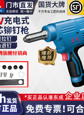 东成12V电动铆钉枪拉铆抢充电铆钉枪自动抽芯铆钉机 DCPM50E