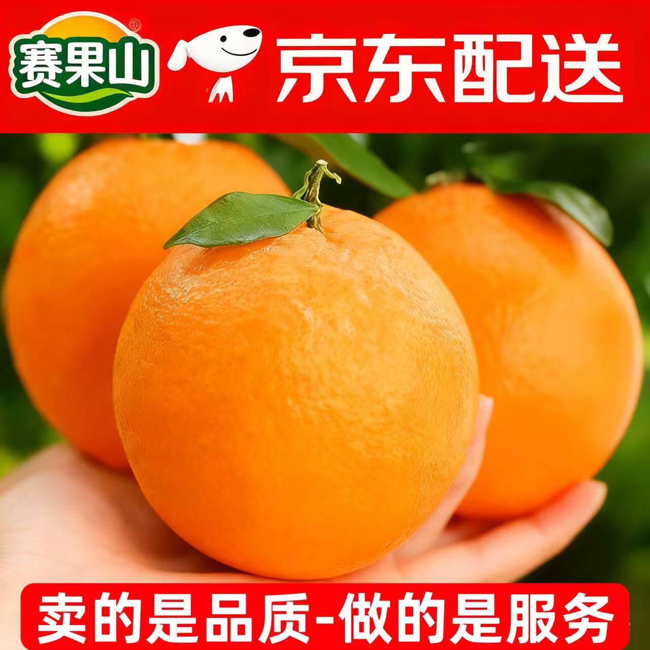 赣南脐橙现摘薄皮大果产地直发