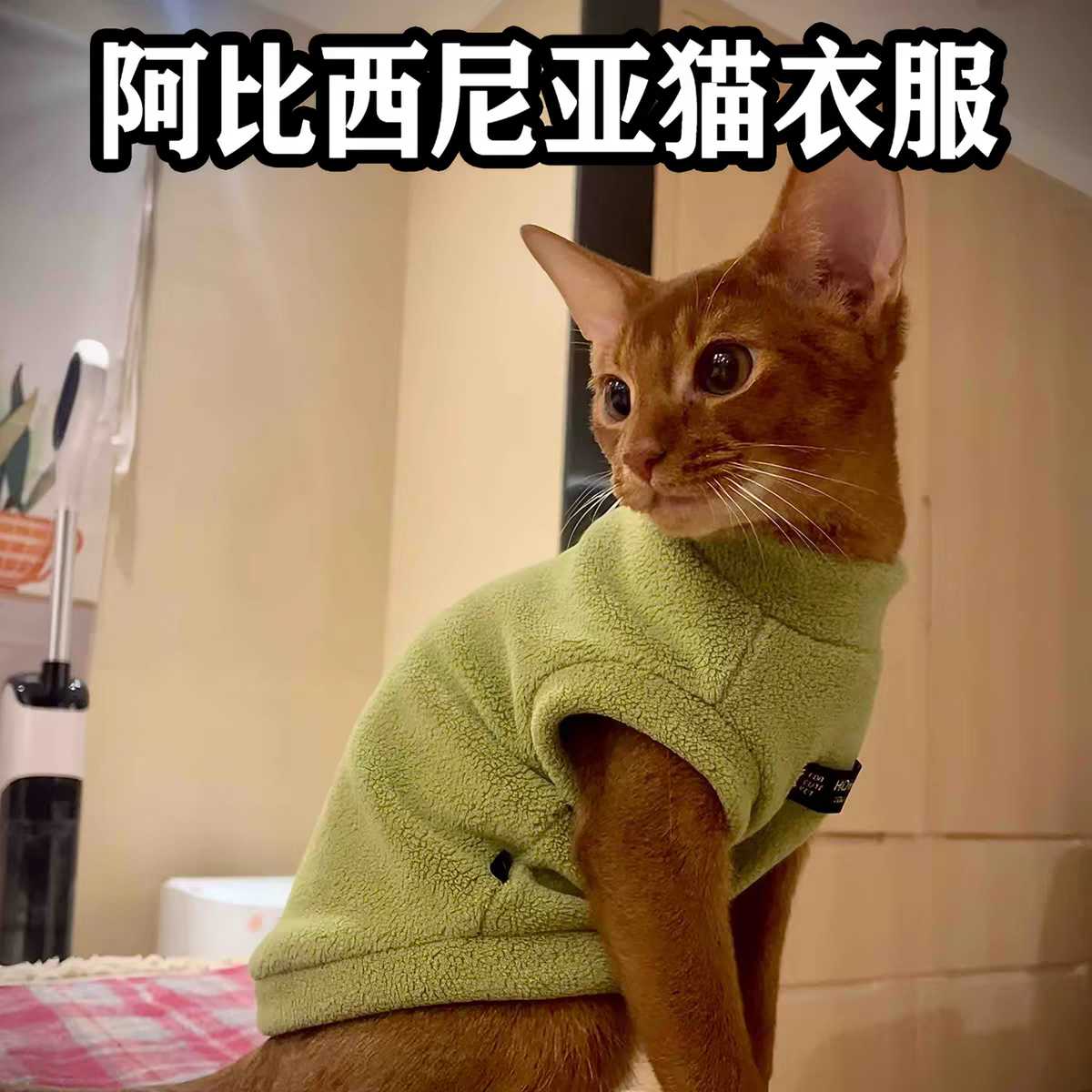 阿比西尼亚猫衣服防掉毛冬季保暖