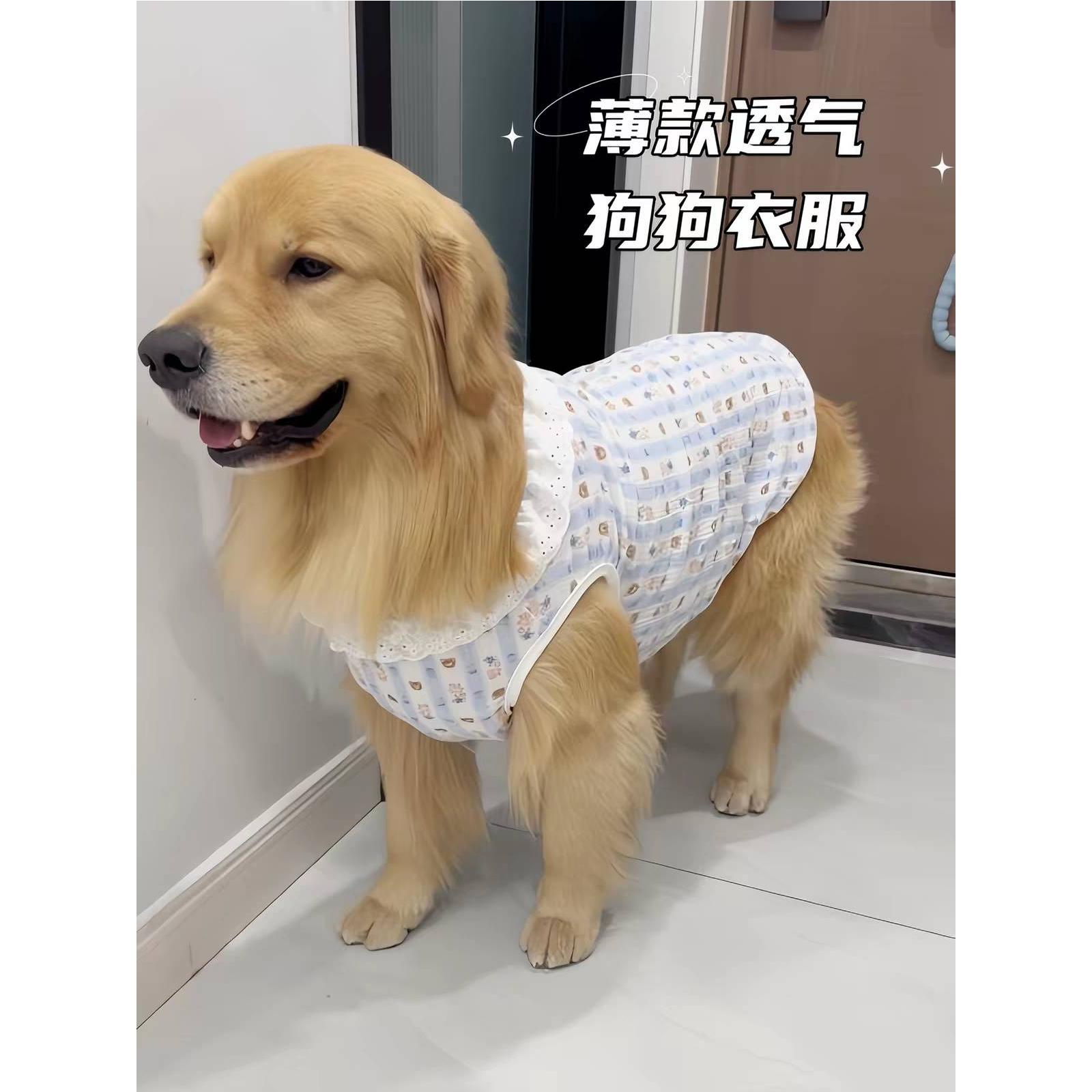 狗狗猫咪夏日衣服薄款透气可爱