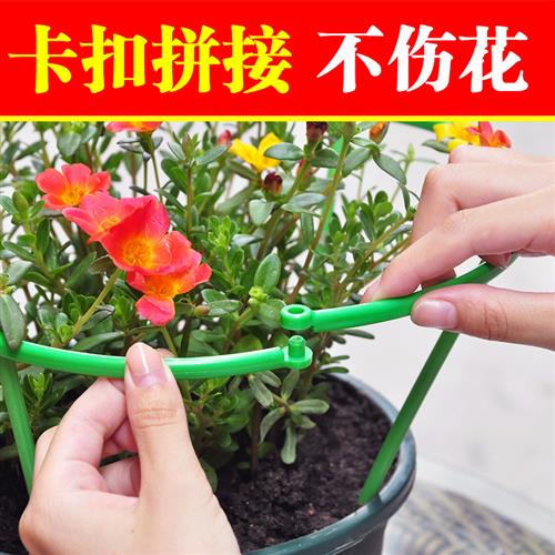 蟹爪兰支架花卉绿植支架向日葵支架防倒伏支伸缩杆兰花护叶护花支图片