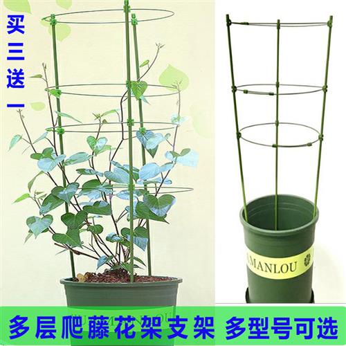 爬藤植物花架支撑杆园艺架子月季支架室外阳台金钱树倒伏网格专用
