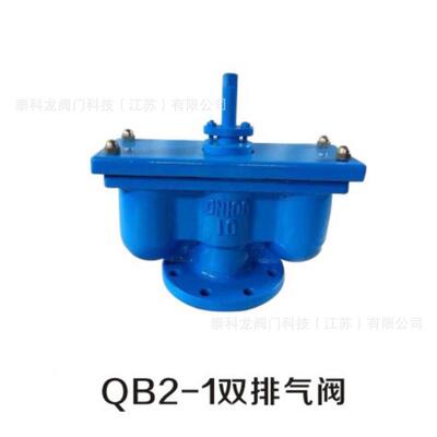 QB2-1双口法兰排气阀DN40 50 65 80 100 125 150 200