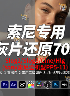 Sony索尼灰片lut还原709剪映FCPX达芬奇PR用Slog2/Slog3/HLG/Cine