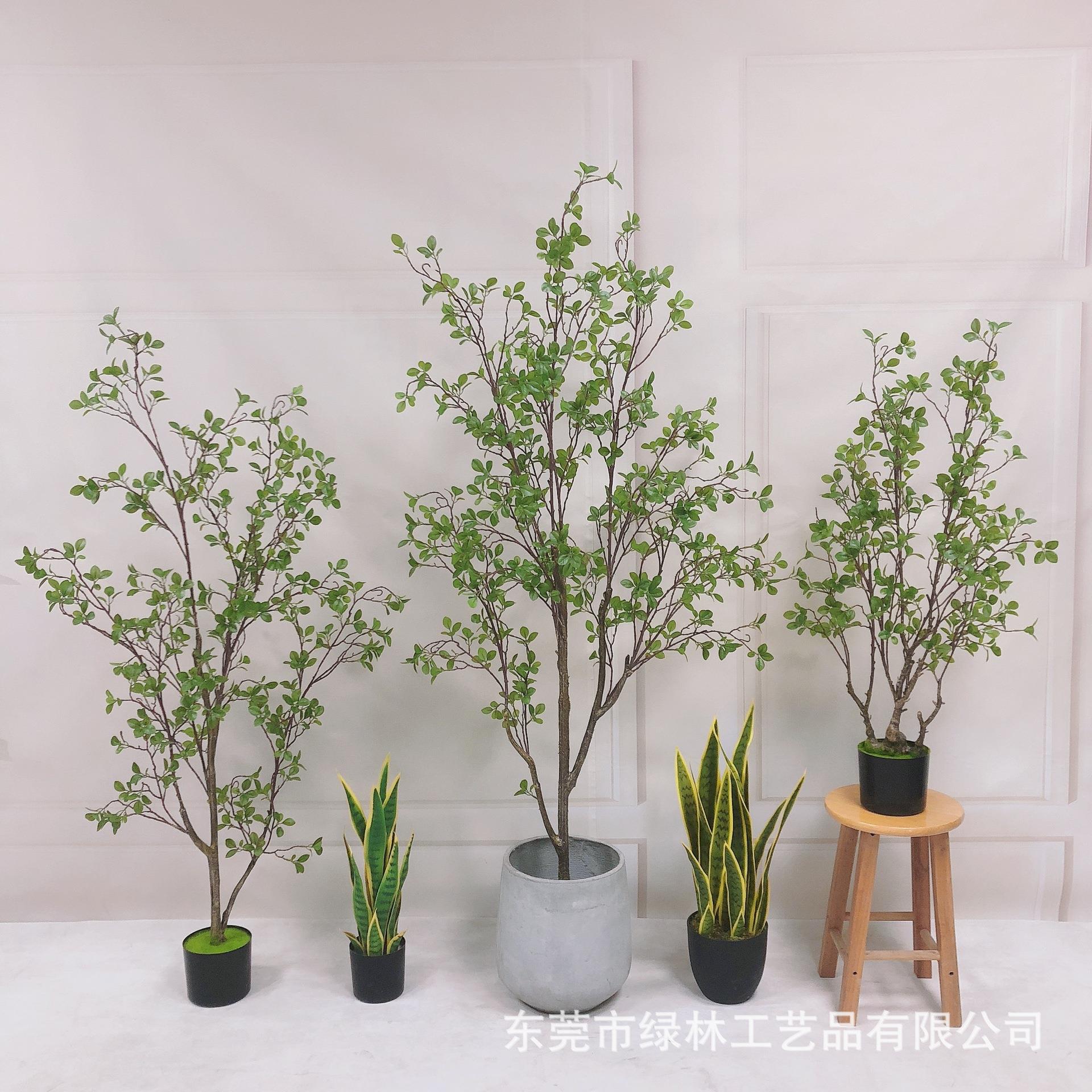 仿真椿树高档美式加密款落地植物橄榄树盆景摄影道具装饰盆栽