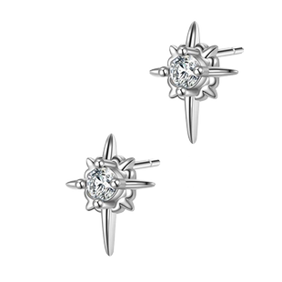 北极星耳钉男潮2025年新款个性男款小众设计高级感痞帅耳饰女耳环