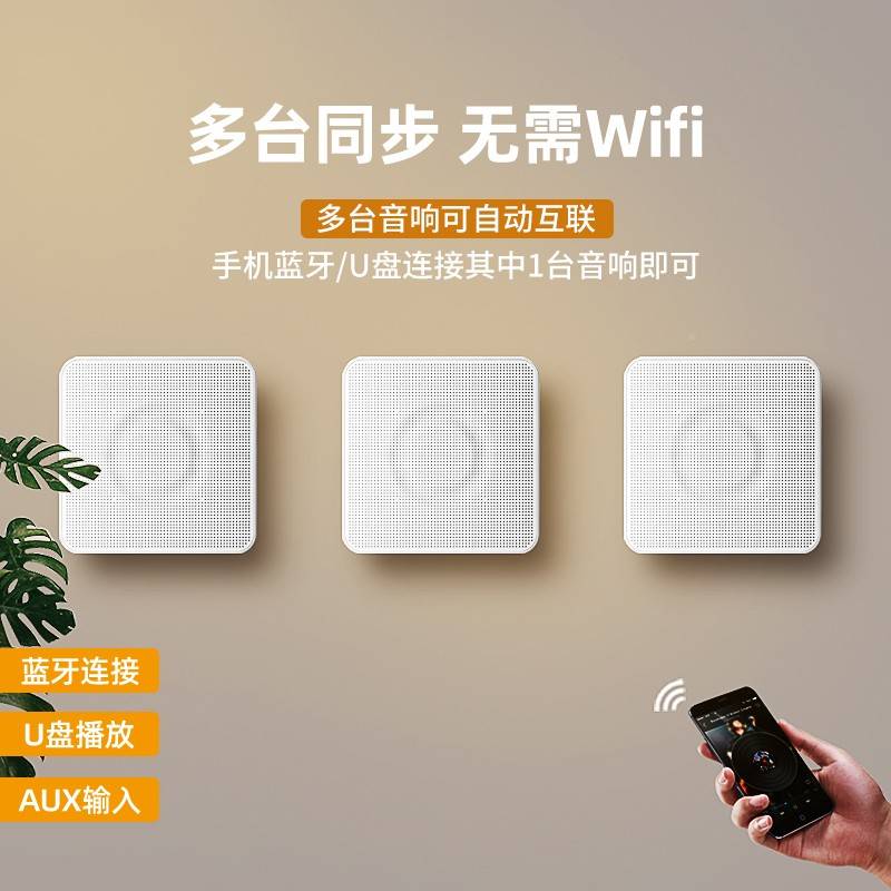 可电壁挂蓝牙音响08970院线铺用容美环绕无 线专音小箱机随挂身充