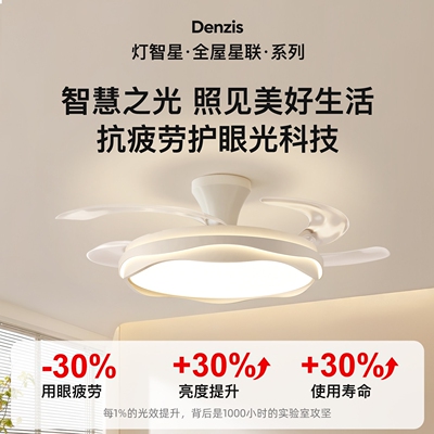 2025年新款吊扇照明一体风扇灯客