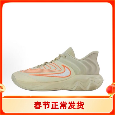 NIKE/耐克 Giannis immortality 4   低帮米色篮球鞋FQ3681-200