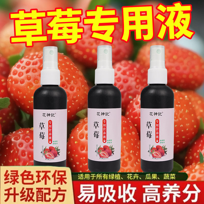 草莓专用肥防黄叶催开花促结果
