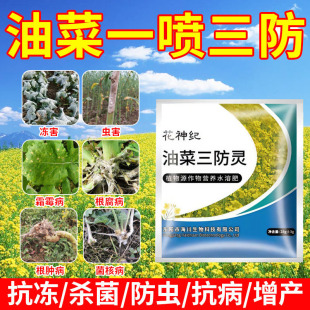 油菜三防灵油菜防冻灵防冻剂预防黄叶提高免疫微生物菌剂肥专用药