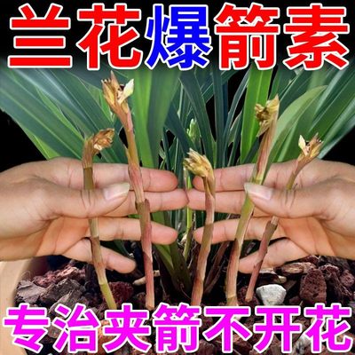 兰花多箭素兰花专用营养液正品催花延花期爆芽治黄叶液体肥免稀释