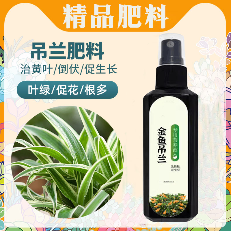 金鱼吊兰专用营养液金鱼花肥料