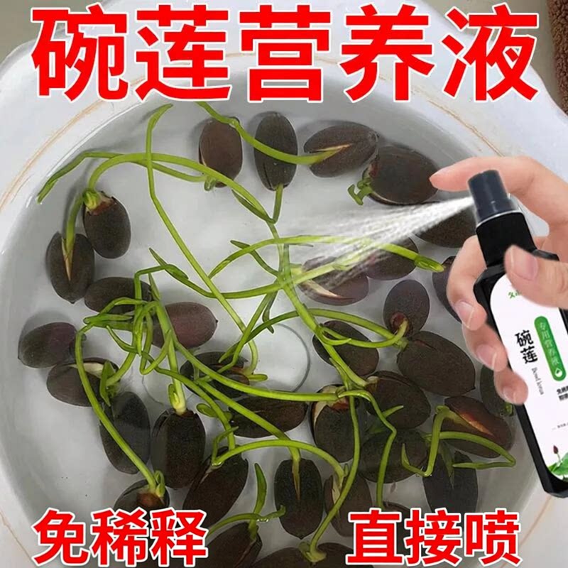 碗莲睡莲荷花营养液增肥液体肥料
