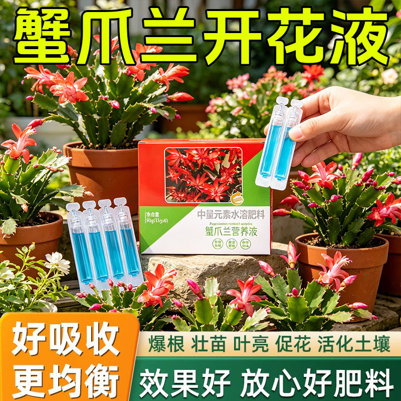 蟹爪兰专用营养液专用肥料促开花
