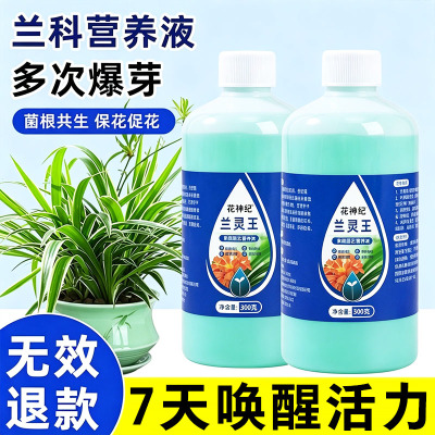 爆芽王兰灵王正品兰花营养液兰陵王兰花专用肥开花蝴蝶兰君子兰科