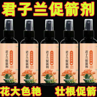 营养液养花专用通用君子兰促箭剂夹箭灵催花促箭拔喜酸植物免稀释