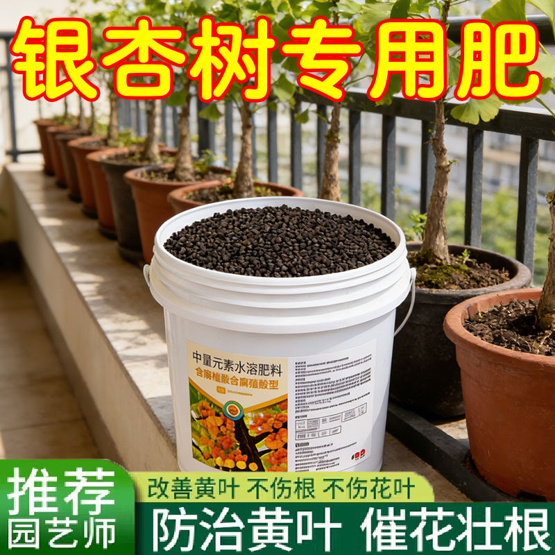 超浓缩植物营养液花肥通用型银杏树专用颗粒有中量元素水溶肥