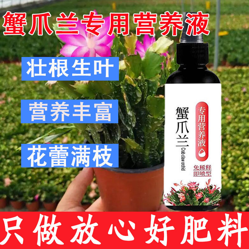 蟹爪兰专用肥免稀释蟹爪兰专用营养液蟹爪兰开花粉一喷绿催剑促花