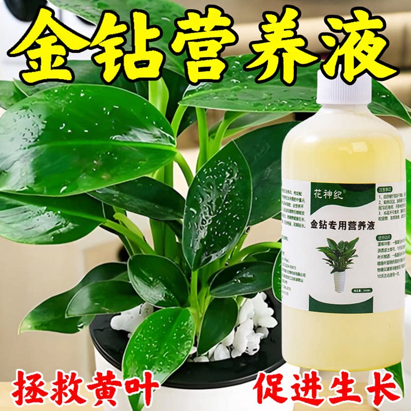 金钻营养液免稀释绿植通用