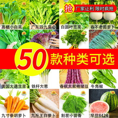 四季蔬菜种子青菜萝卜白菜园生菜小葱黄瓜易种辣椒瓜果蔬菜种籽孑