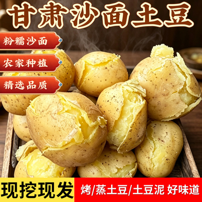 26年正宗甘肃定西沙面土豆新土豆