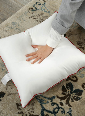 买一送一】抱枕芯内胆内芯沙发靠垫芯腰靠枕芯子45 50 方形芯子