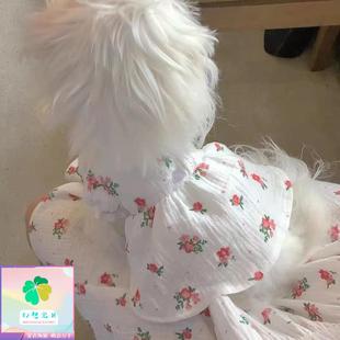 幻想宝贝碎花连衣裙宠物服饰马尔济斯博美狗狗衣服猫咪衣服冬可爱