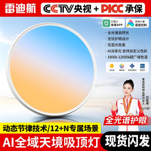 25款天镜灯全光谱全色域淡彩多彩色LED天境客厅吸顶灯卧室晴空灯