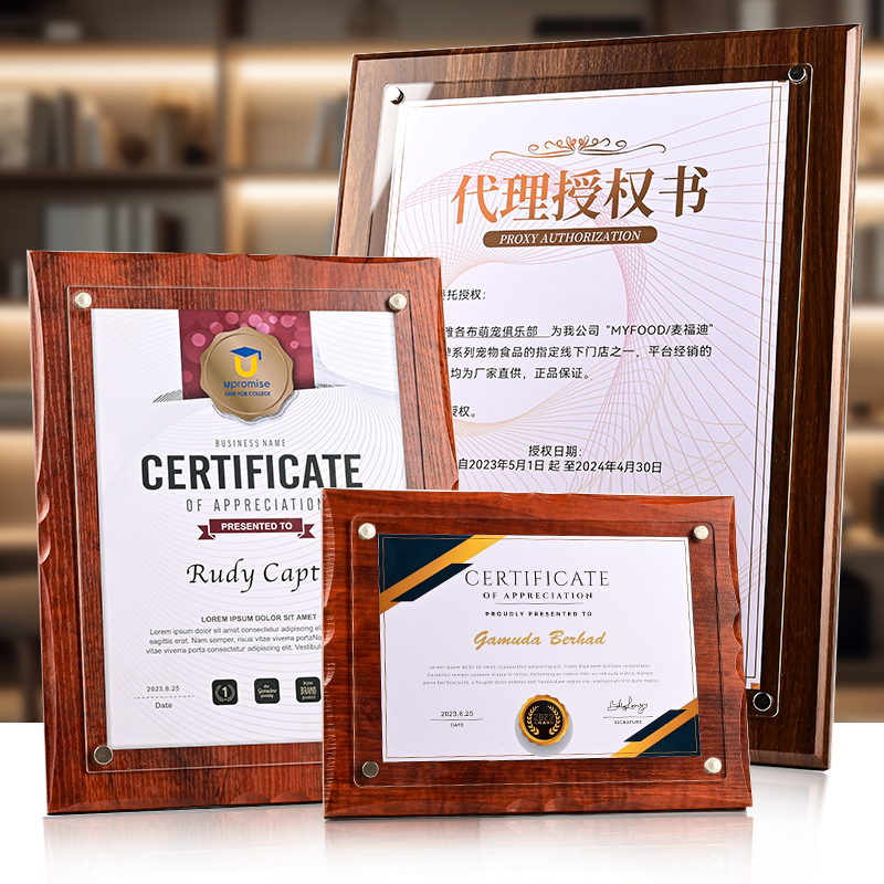 东南亚克力金属奖牌证书框