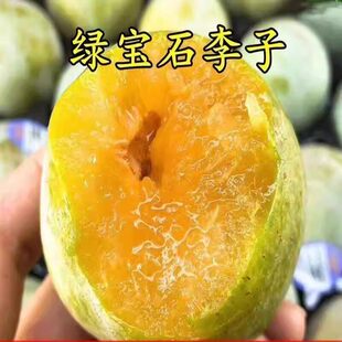 特大绿宝石李子树苗嫁接特大李子树苗南北方种植盆栽地栽当年结果