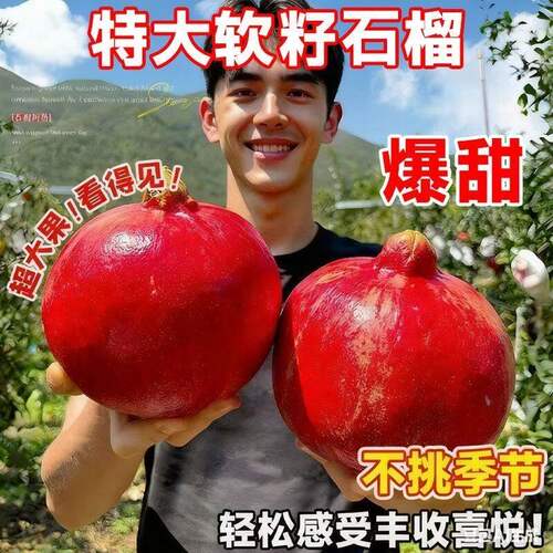 软籽巨蜜大果红心无石榴树