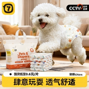 狗狗尿不湿公狗专用纸尿裤母狗生理裤姨妈裤可排泄拉拉裤小狗尿布