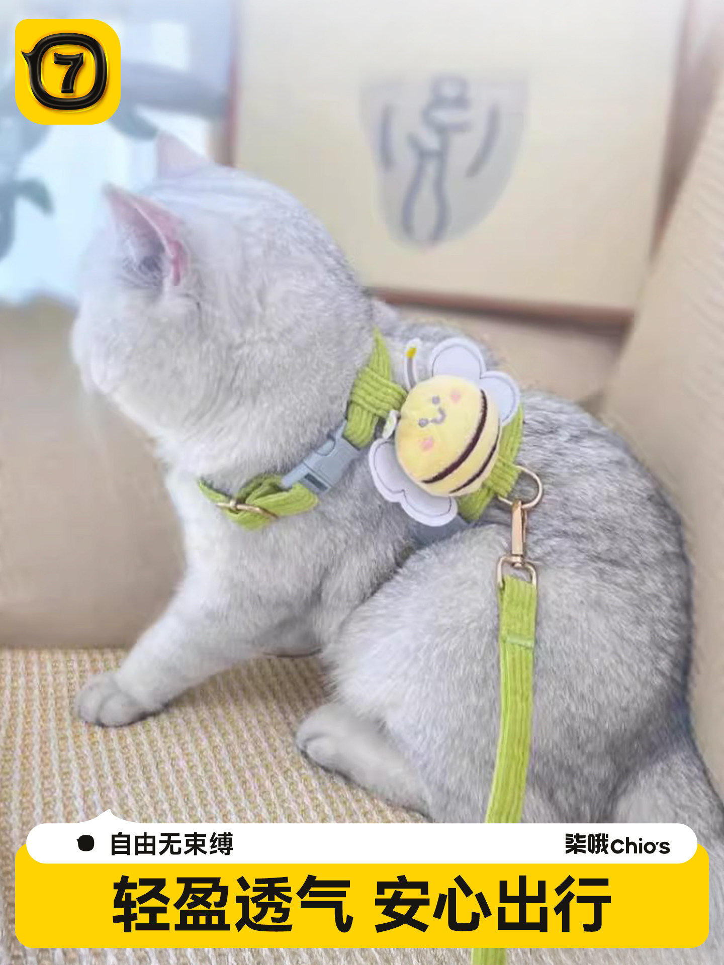 防止外出时脱落的猫牵引绳，特殊的小猫背心式猫行走炼，i型背带,宠物/宠物食品及用品,猫牵引绳,淘宝优惠券,粉丝福利购,淘宝优惠卷