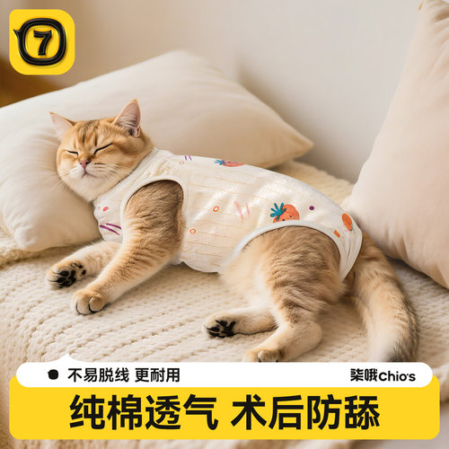 柒哦母猫公猫绝育服纯棉透气防舔