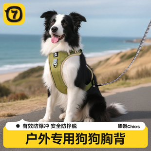 大型犬狗绳边牧金毛背心式防爆冲胸背带拉布拉多狗链子狗狗牵引绳