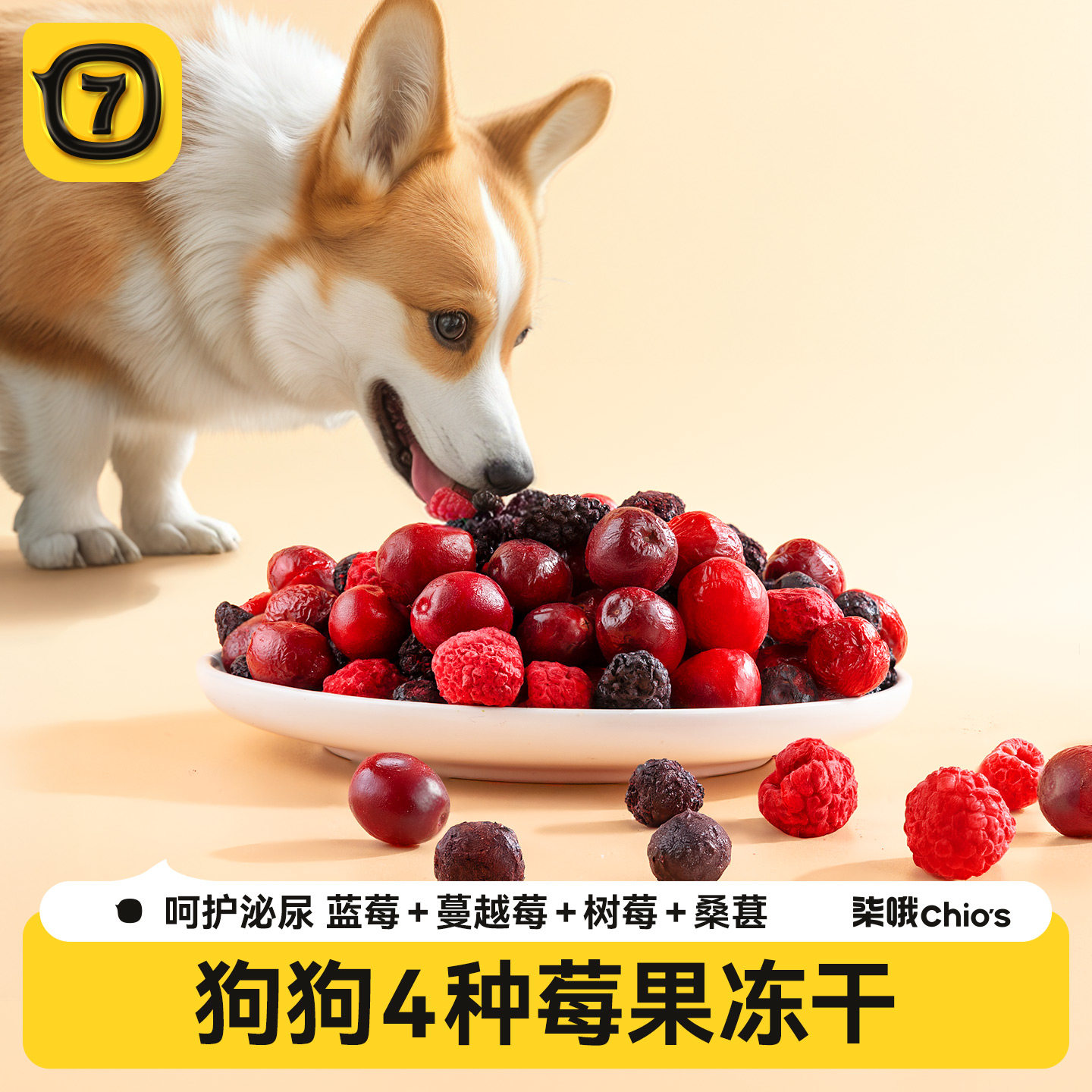 狗狗零食蔬菜冻干孢子甘蓝果蔬拌狗粮辅食幼犬训练奖励蔓越莓冻干
